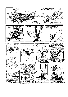 Schwarzweiss-10